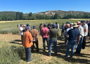 El CIAPA-IRIAF celebra en Espinosa de Henares una jornada técnica para acercar a los agricultores las investigaciones en regadío y cereal