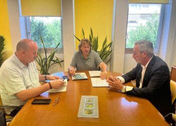 Valdepeñas coordina un plan con la Junta para frenar la plaga de conejos que amenaza las cosechas