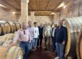 El Gobierno de Castilla-La Mancha ha concedido cerca de 28 millones de euros en ayudas VINATI al sector vitivinícola de Cuenca desde 2015