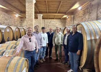 El Gobierno de Castilla-La Mancha ha concedido cerca de 28 millones de euros en ayudas VINATI al sector vitivinícola de Cuenca desde 2015