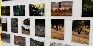 ATICA CLM abre una exposición conmemorativa de su 25 Aniversario en el Antiguo Casino
