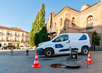 Illescas continúa y refuerza el control de cucarachas ante el aumento de su actividad por el calor