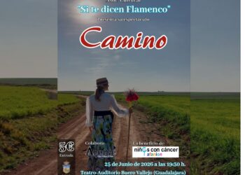 El arte Flamenco se vuelve solidario con el espectáculo “Camino”