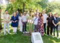 Guadalajara rinde homenaje a la generosidad que salva vidas en el árbol del donante