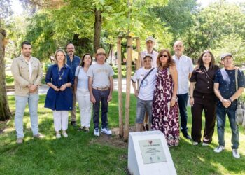 Guadalajara rinde homenaje a la generosidad que salva vidas en el árbol del donante