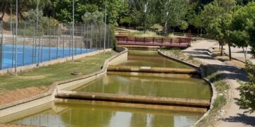 El Ayuntamiento de Guadalajara pone en marcha una nueva campaña de control de mosquitos y otros insectos