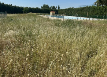 El PP de Pioz denuncia el estado de abandono de la piscina municipal a pocos días de su apertura