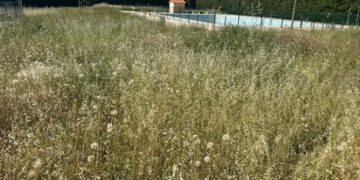 El PP de Pioz denuncia el estado de abandono de la piscina municipal a pocos días de su apertura