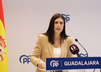 Patricio denuncia una crisis institucional de enorme gravedad y exige explicaciones al Gobierno