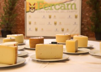 El 36º Concurso de Quesos Manchegos de Fercam busca la excelencia entre 41 muestras de la región