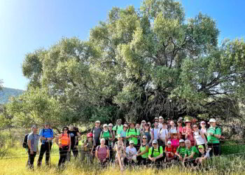 La ruta senderista del Patronato de Deportes descubrió los secretos de la trashumancia del Valle de Alcudia